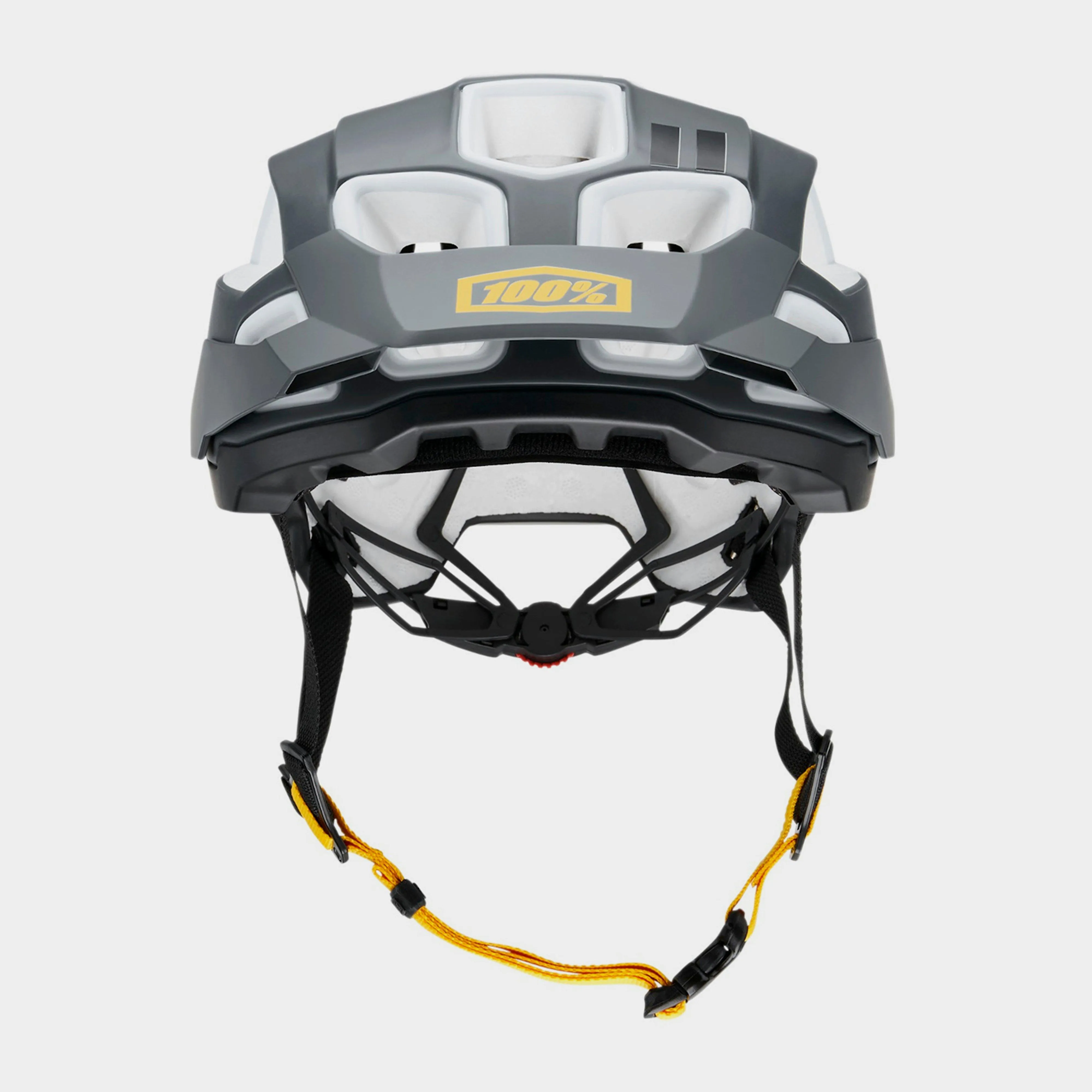 100% Altec Helmet | Millets