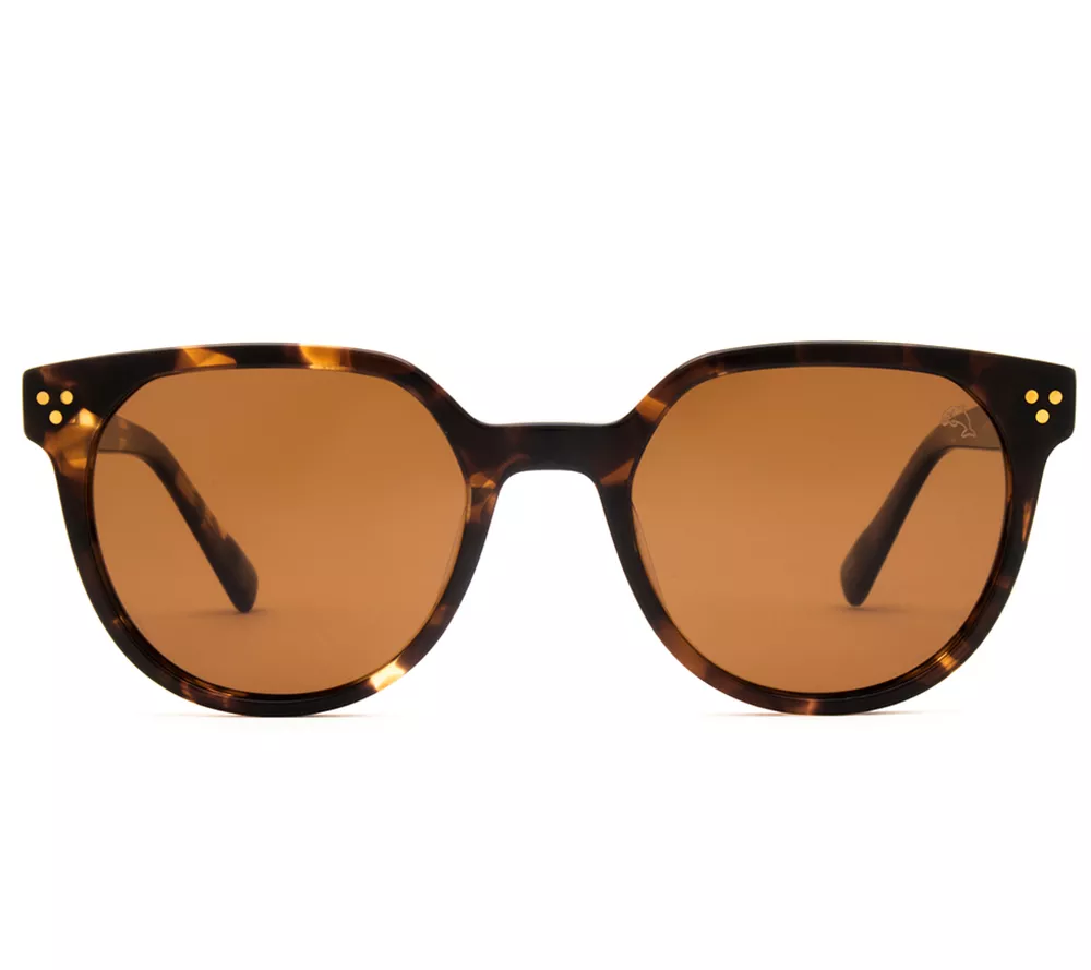 Biscayners Miami Westwood Sunglasses