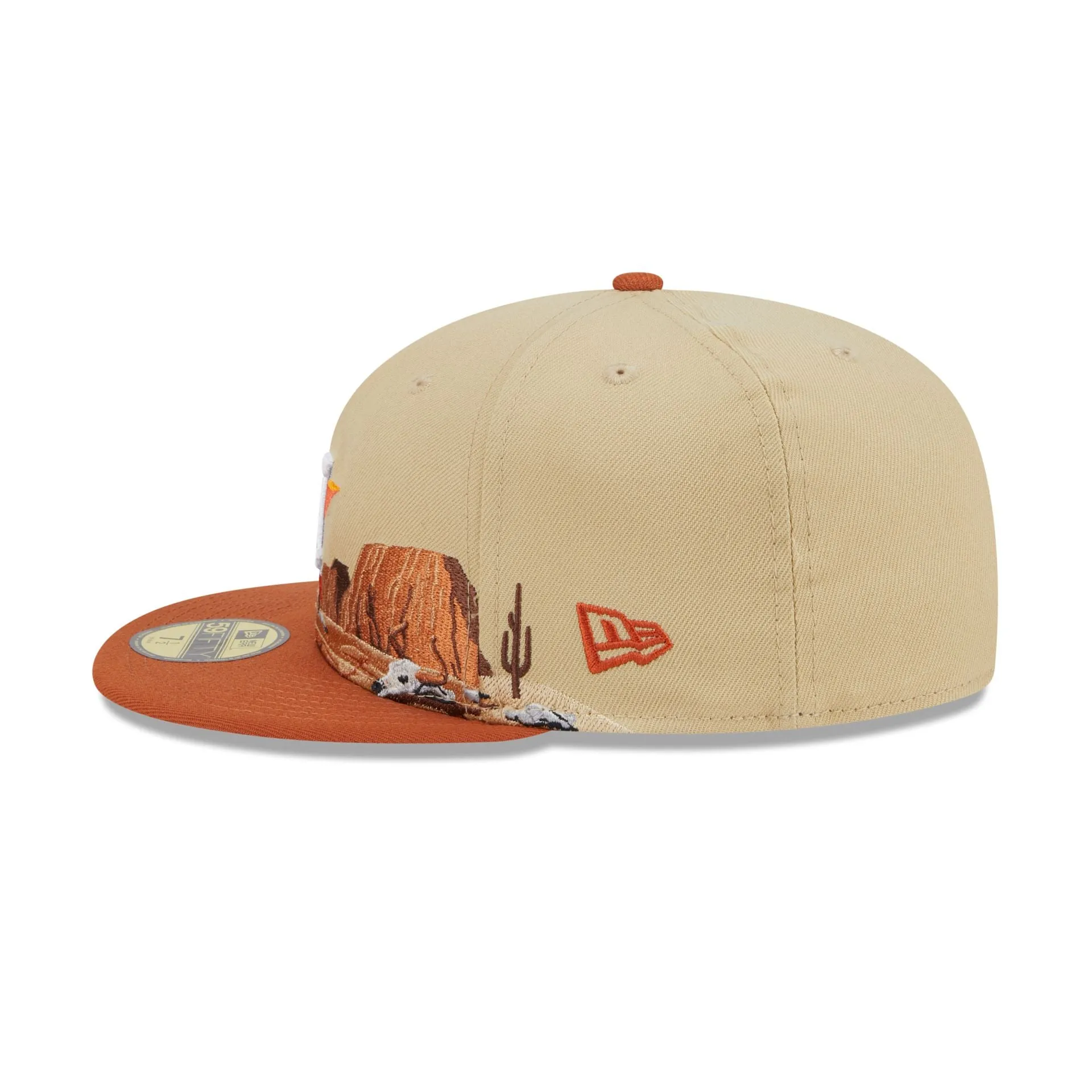 Houston Astros Team Landscape 59FIFTY Fitted Hat