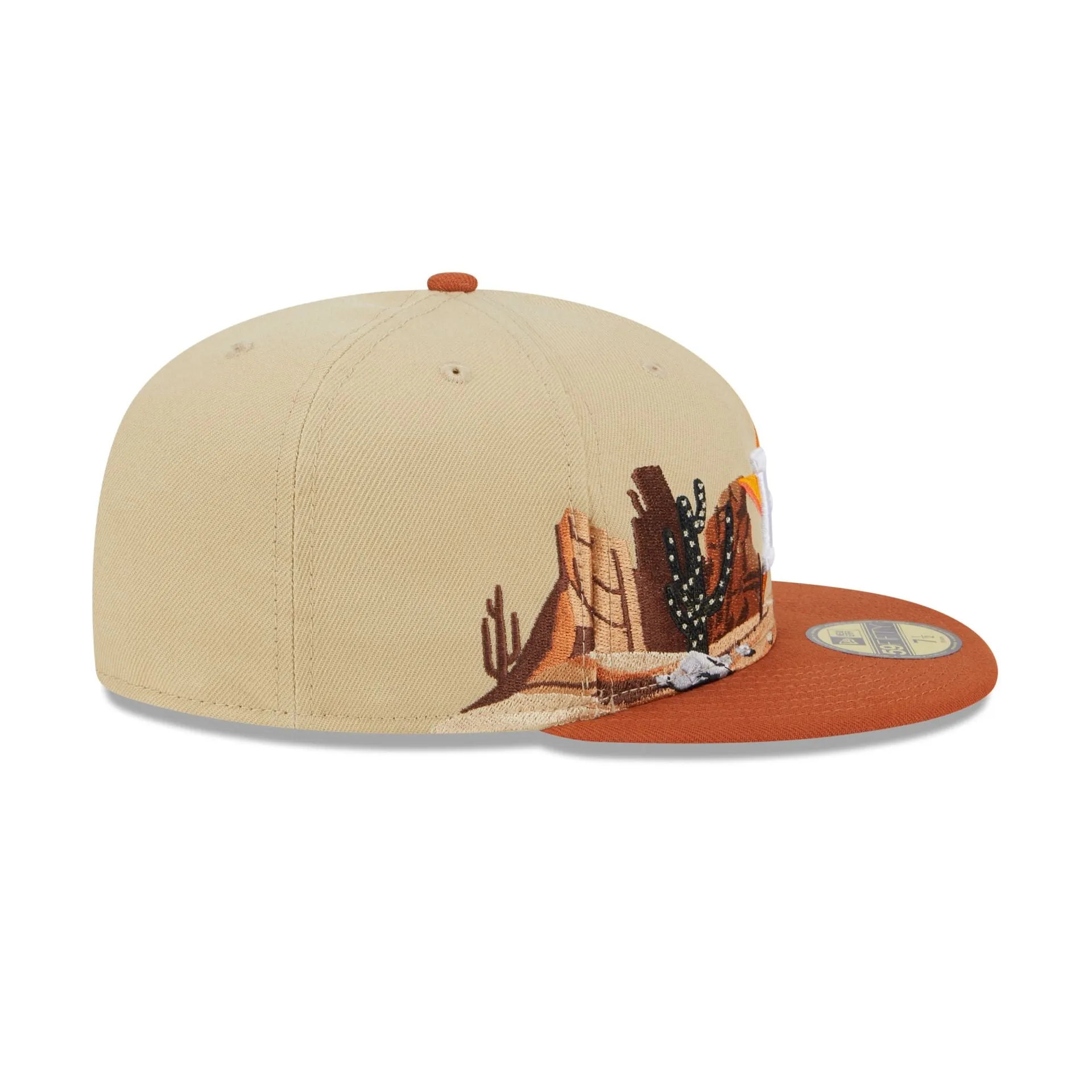 Houston Astros Team Landscape 59FIFTY Fitted Hat