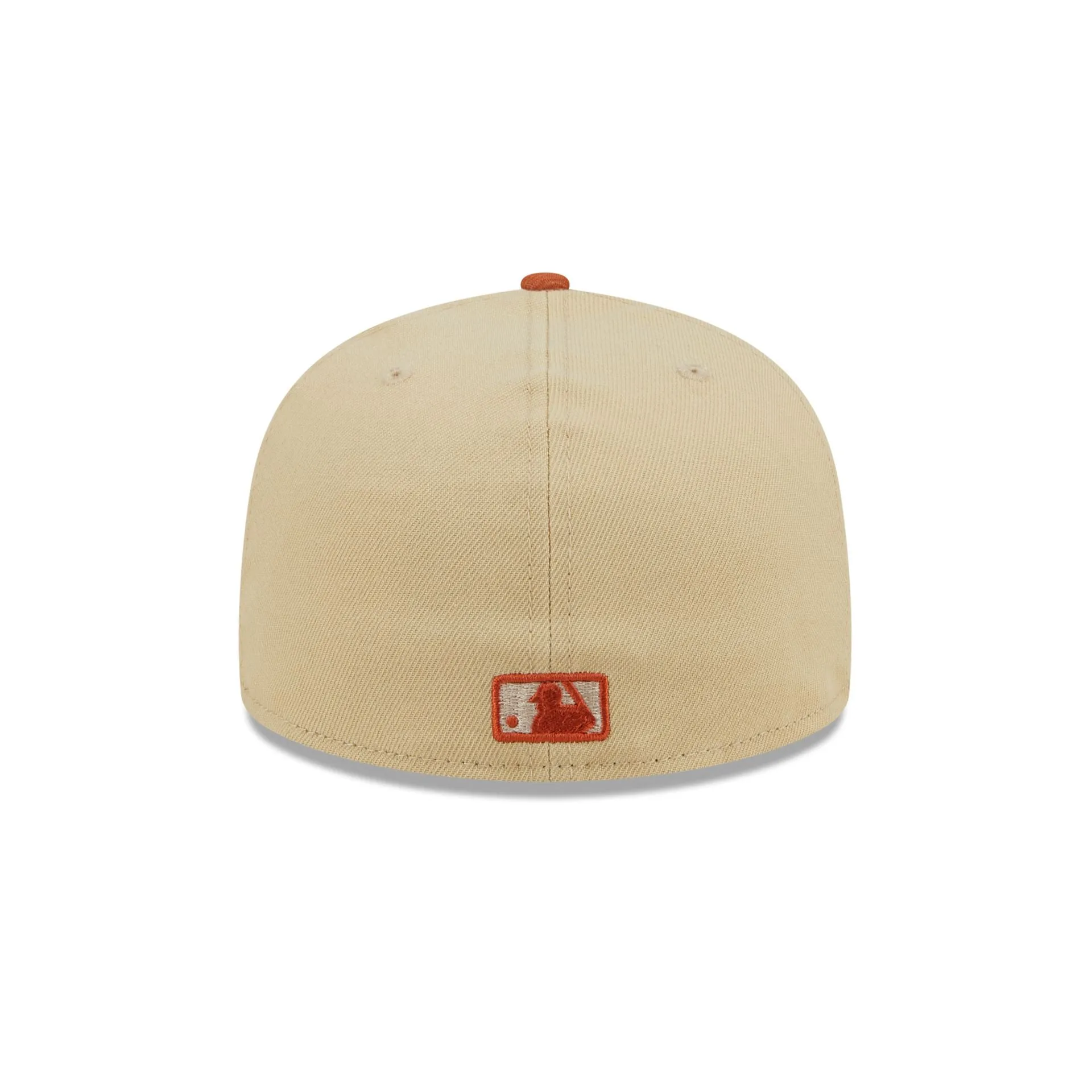 Houston Astros Team Landscape 59FIFTY Fitted Hat