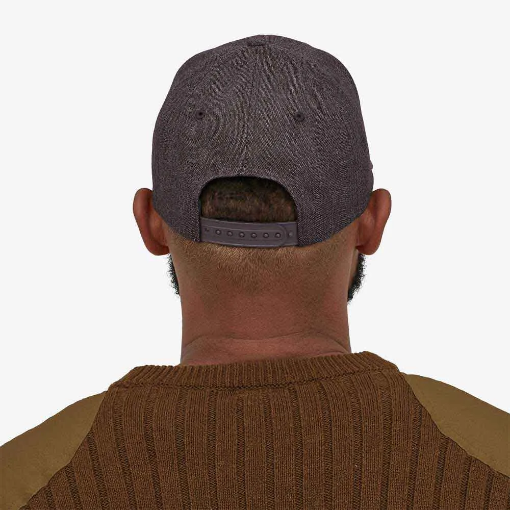 Patagonia Tin Shed Hat P-6 Logo