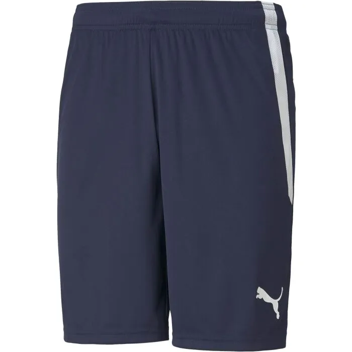 Puma TEAM LIGA SHORTS