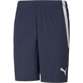 Puma TEAM LIGA SHORTS