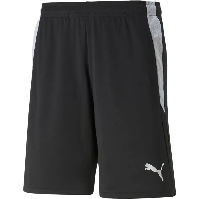 Puma TEAM LIGA TRAINING SHORTS