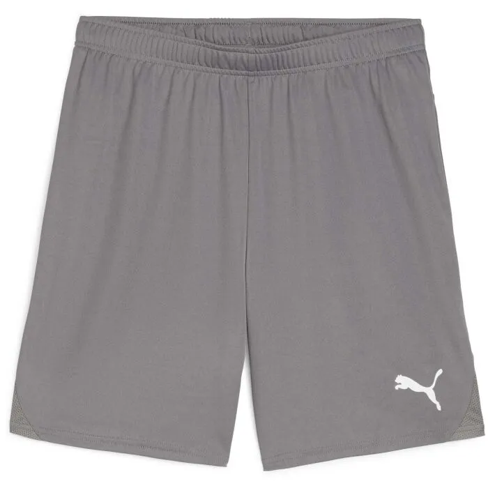 Puma TEAMGOAL SHORTS