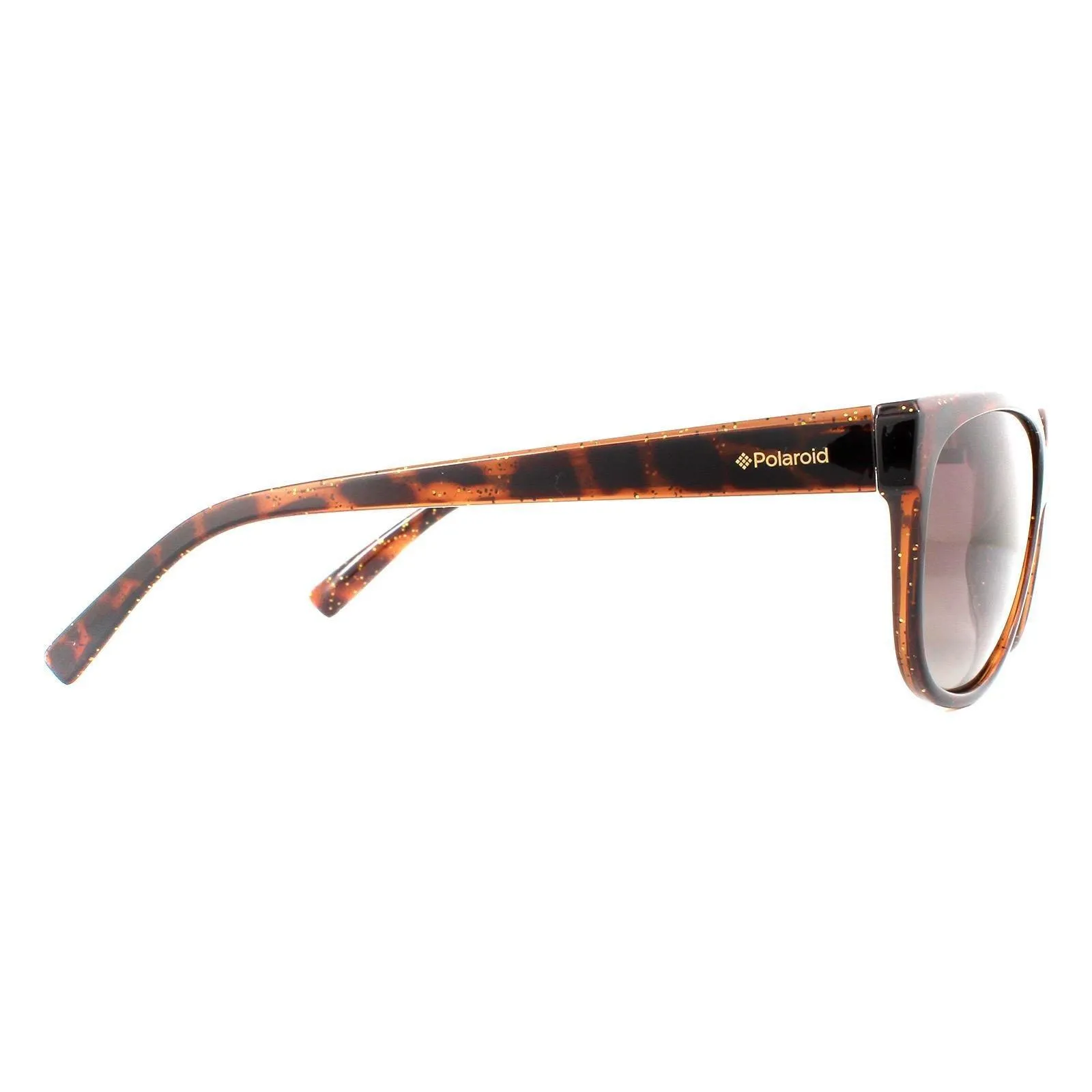 Sunglasses | Cat Eye Dark Havana Glitter Brown Gradient Polarized Sunglasses | Polaroid